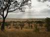 Singita Explore - Landscape 